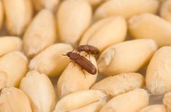 &#80;&#84;&#30495;&#20154;&#65288;&#20013;&#22269;&#65289;&#23448;&#26041;&#32593;&#31449;