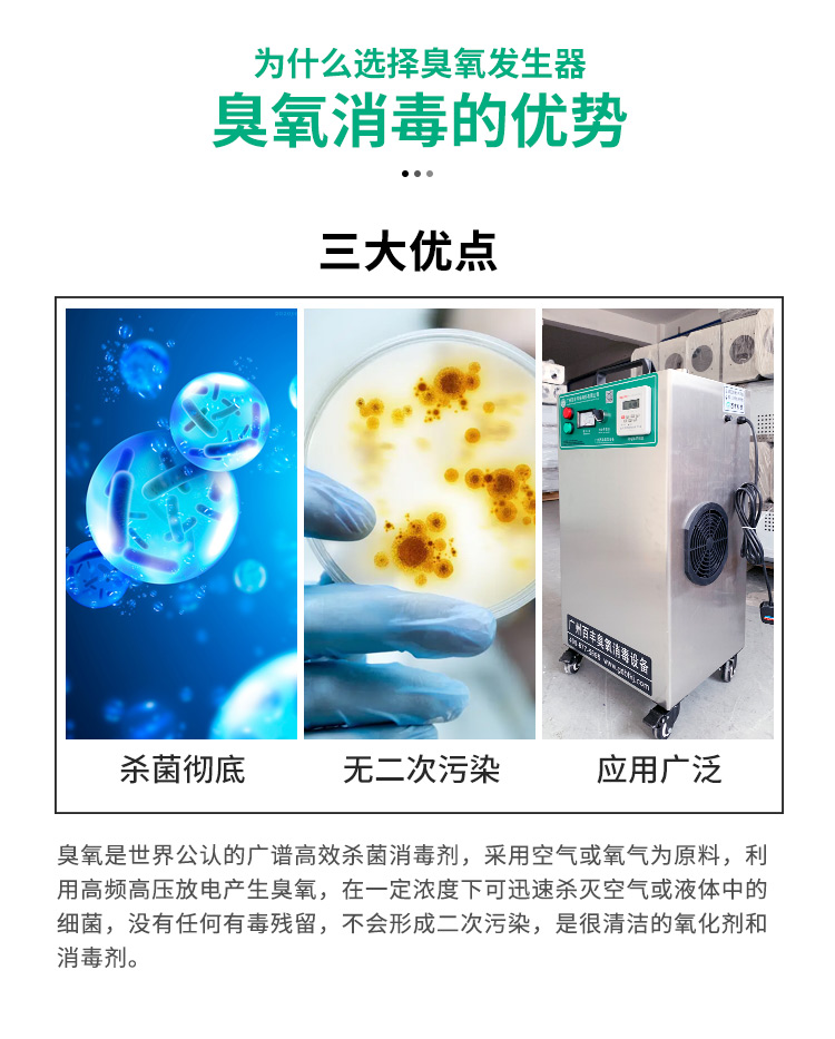 &#80;&#84;&#30495;&#20154;&#65288;&#20013;&#22269;&#65289;&#23448;&#26041;&#32593;&#31449;