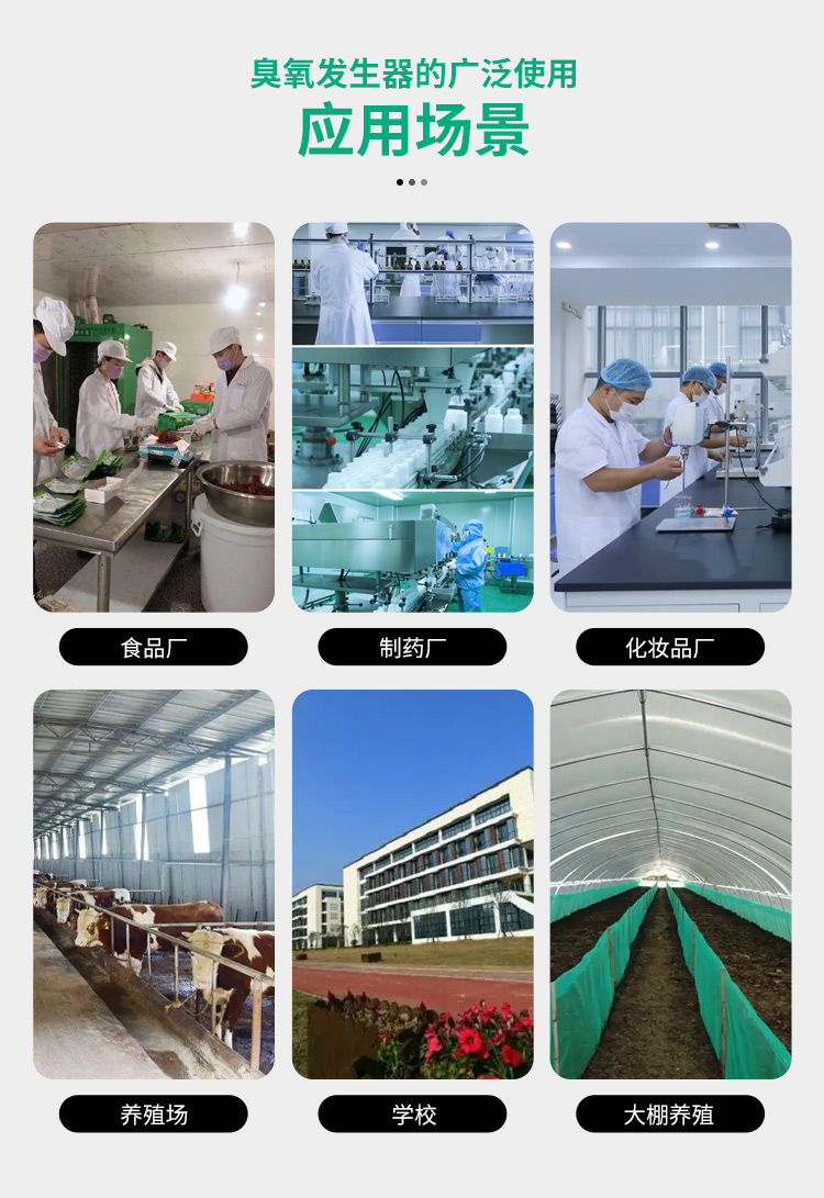 &#80;&#84;&#30495;&#20154;&#65288;&#20013;&#22269;&#65289;&#23448;&#26041;&#32593;&#31449;